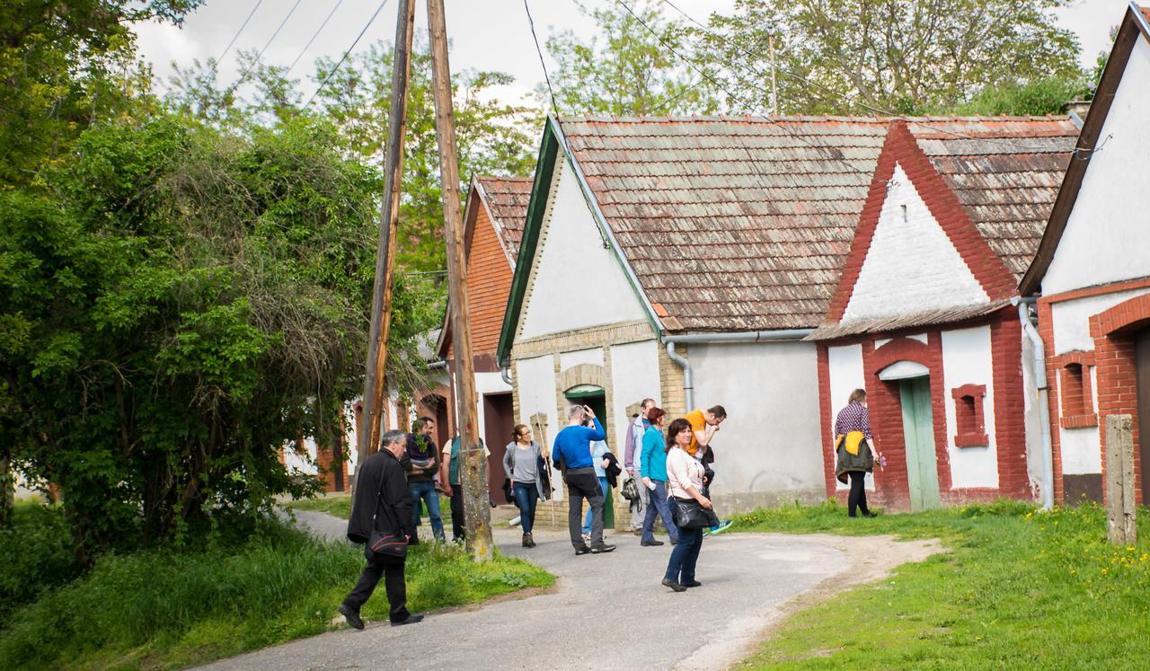 Pincelakat Borház és Szálloda Csaszartoltes Exterior foto